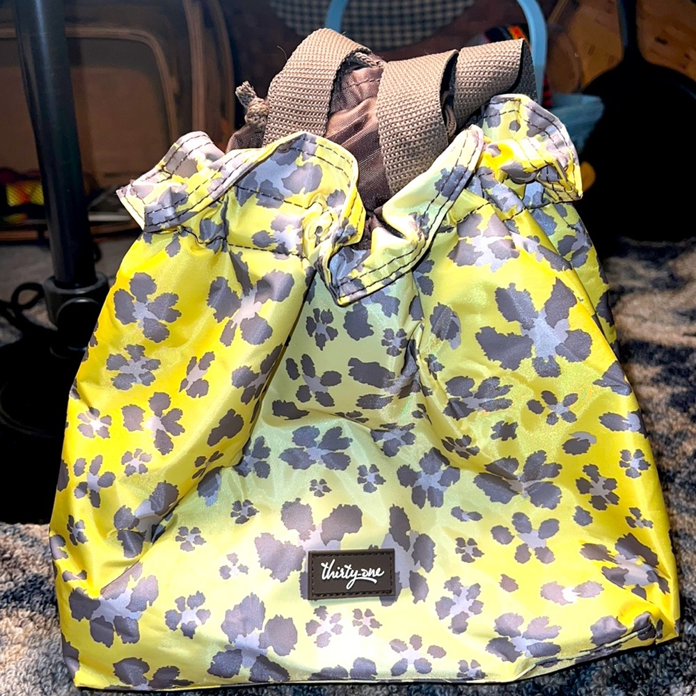 Thirty-one insulated cinched bag